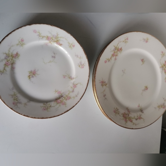 Antique Theodore Haviland Limoges Plates 7 - Picture 6 of 8